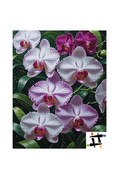 Painting-numbers Set pictura pe numere Orhidee in gradina 6901, panza pe rama...
