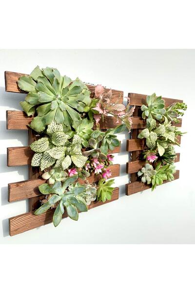 ShopLaLa Wall Planter – 2 Pack Hanging Planter for Indoor Plants, Plant Stand...