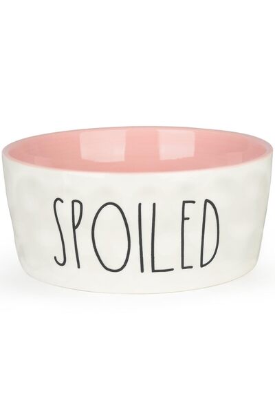 GENERAL 30OZ Ceramic Dog Bowl - 6'' Extra Large Food Water Dog Bowl, Heavy Du...