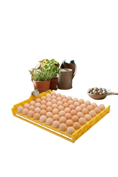 GENERAL Automatic Egg Turning Tray for Incubator, Large Capacity for 70 Eggs,