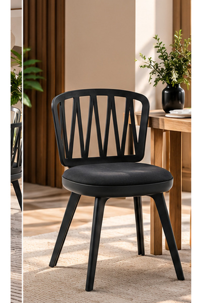 N.zone Modern Dining Chair with Padded Seat and Ergonomic Backrest with Inter...