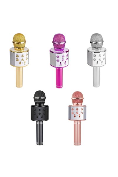 OEM Microfon Karaoke pentru copii, reîncărcabil prin USB