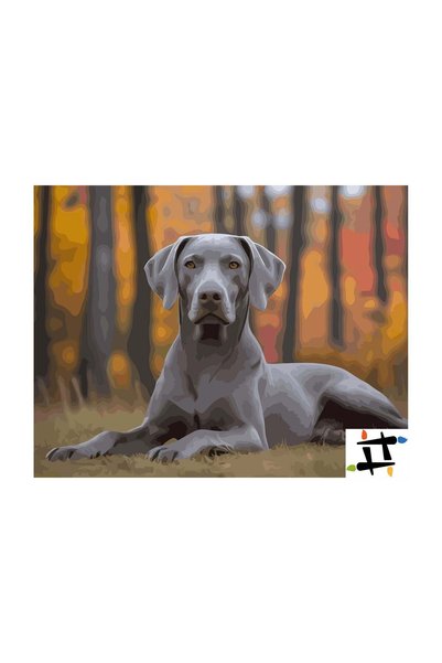 Painting-numbers Set pictura pe numere Caine majestic 7335, panza pe rama lem...
