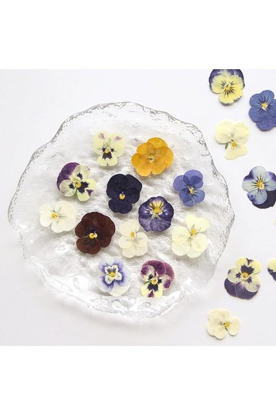 Bukela Dried Pressed Flowers for Resin DIY, 54 Pcs Art Crafts Natural Dry Flo...