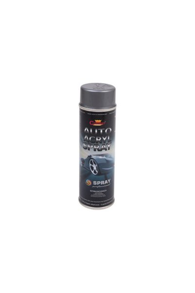 Champion Color Spray vopsea argintiu Champion profesional 500ml
