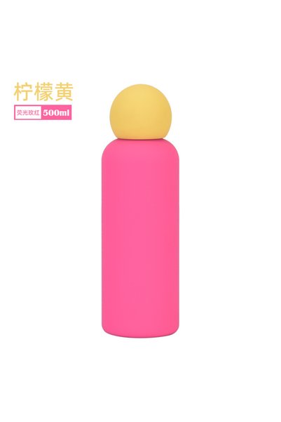 Generic 316 Stainless Steel Insulated Water Bottle 500ml for Kids Outdoor Sports
