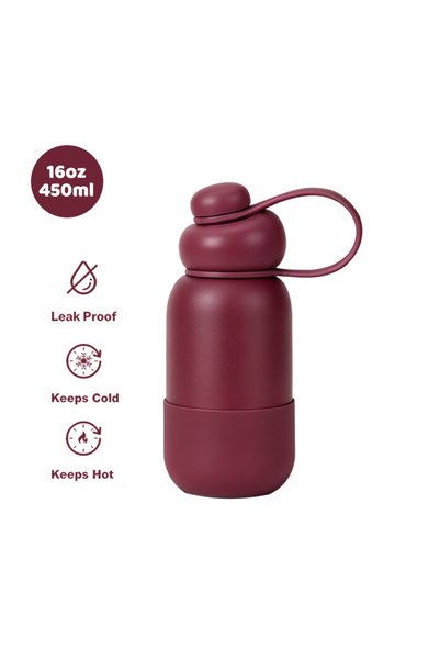 Generic Stainless Steel Sports Water Bottle Handle Spout Outdoor Portable Ins...