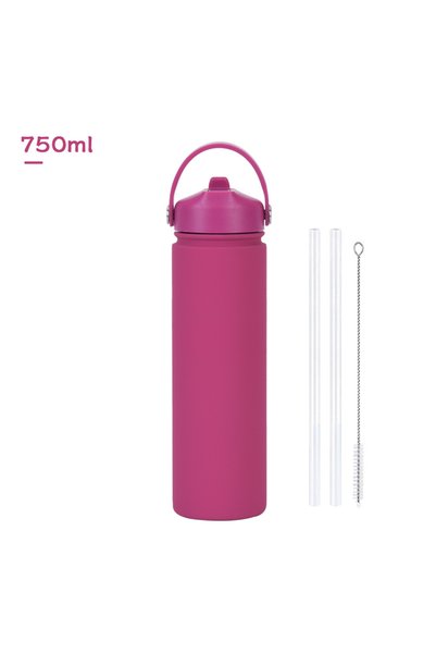Generic Stainless Steel Wide Mouth Insulated Sports Bottle 750ml Spout Handle...