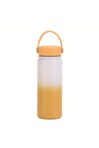Generic Stainless Steel Insulated Sports Water Bottle 550ml Handle Outdoor Tr...