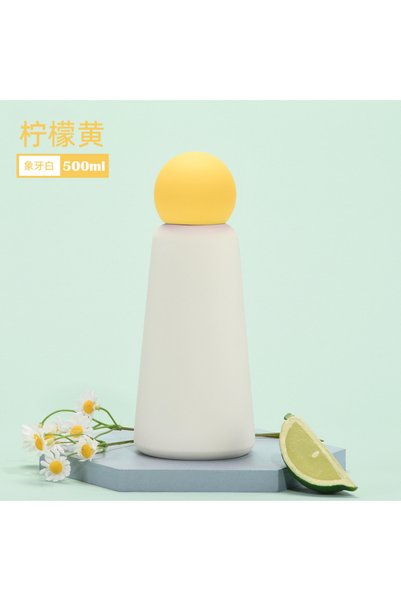 Generic 304 Stainless Steel Insulated Water Bottle 500ml for Kids Students Ou...