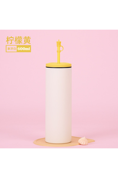 Generic 304 Stainless Steel Double Wall Vacuum Water Bottle 600ml Straight Sc...