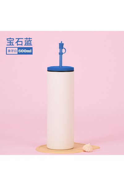Generic 304 Stainless Steel Double Wall Vacuum Water Bottle 600ml Straight Sc...