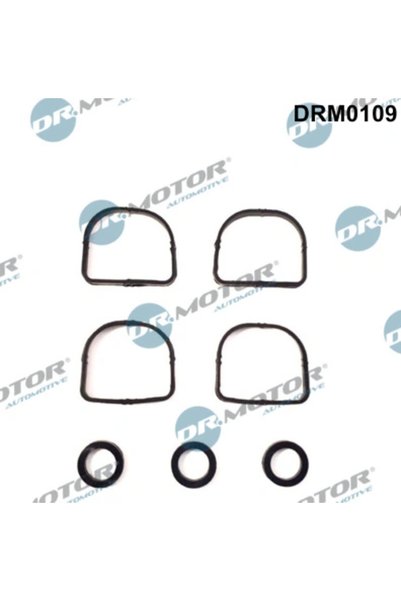 DR.MOTOR AUTOMOTIVE Set Garnituri, Galerie Admisie Bmw 1/3/5/X1/X3/Z4 DRM0109
