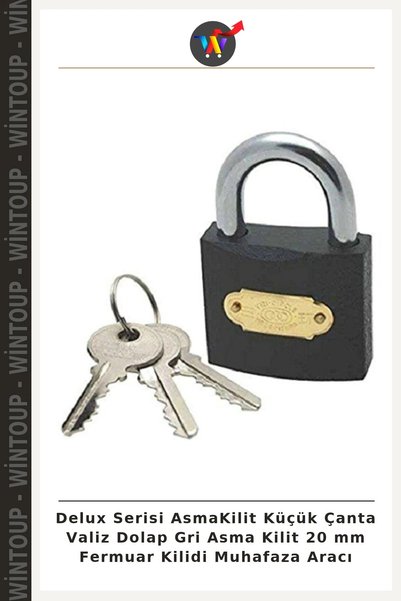 Wintoup Deluxe Series Padlock for Small Bags, Luggage, and Lockers—Gray Padlo...