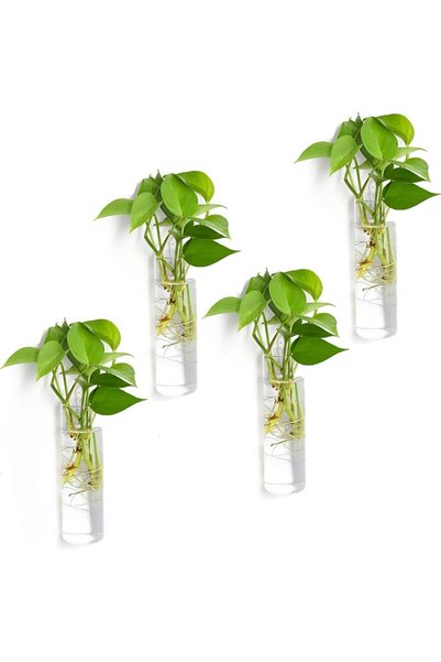 Generic Wall Hanging Glass Planters, Terrarium, Plant Containers, Wall Vase f...