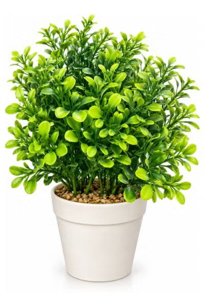 Toybox Artificial Green Leaf Plant with White Decorative Pot and Pebble Filli...