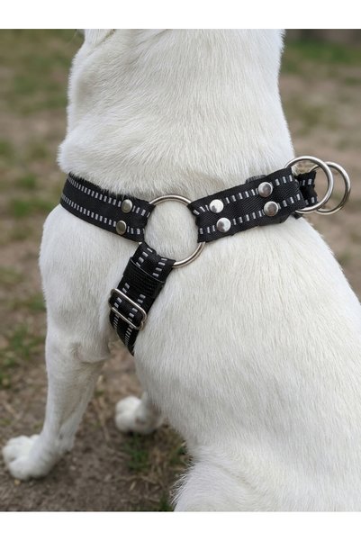 balkonda Dog Chest Harness Adjustable Small and Large Breed Colone Cord Black