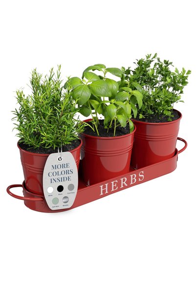 Barnyard Designs Farmhouse Herb Garden Planter Indoor Planter Set with Tray o...