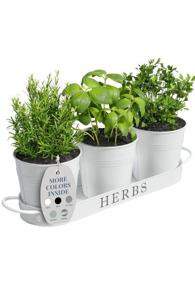 Barnyard Designs Farmhouse Herb Garden Planter Indoor Planter Set with Tray o...