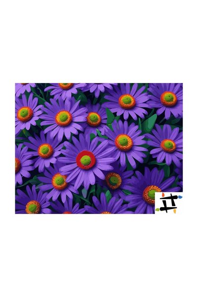 Painting-numbers Set pictura pe numere Dansul Asterelor sub Clar de Luna 6713...