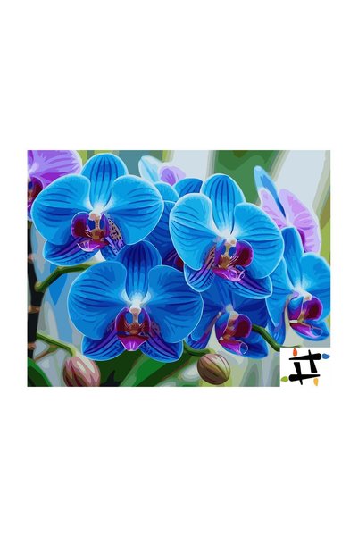 Painting-numbers Set pictura pe numere Aristocratia Gradinii Tropicale 6758, ...