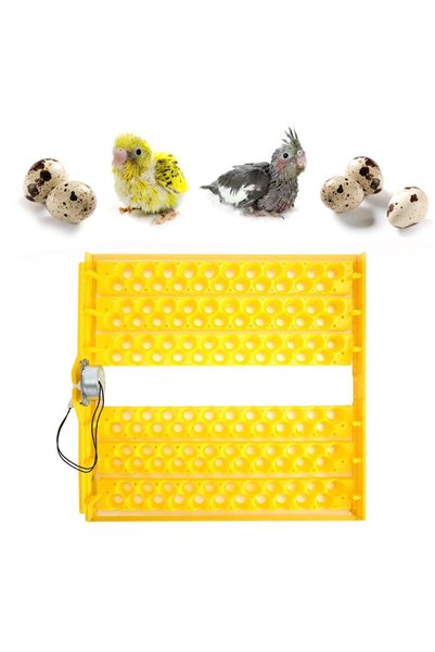 GENERAL 132 Pieces Eggs Automatic Egg Turner Turning Tray for Automatic Egg I...