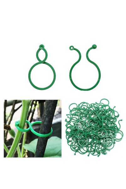 GENERAL Garden Plant Support Clips for Climbing Plants, 100 Pack, Green, Toma...