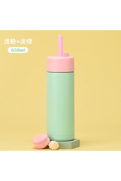 Generic Stainless Steel Insulated Straw Water Bottle 650ml Wide Mouth for Bub...
