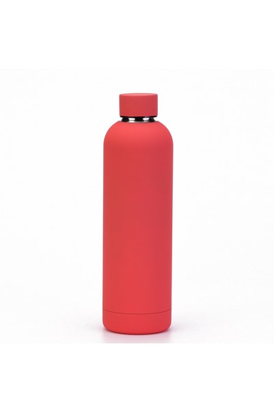 Generic 304 Stainless Steel Double Wall Insulated Bottle 750ml Frosted Outdoor