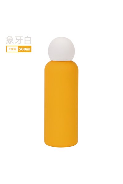 Generic 316 Stainless Steel Insulated Water Bottle 500ml for Kids Outdoor Sports