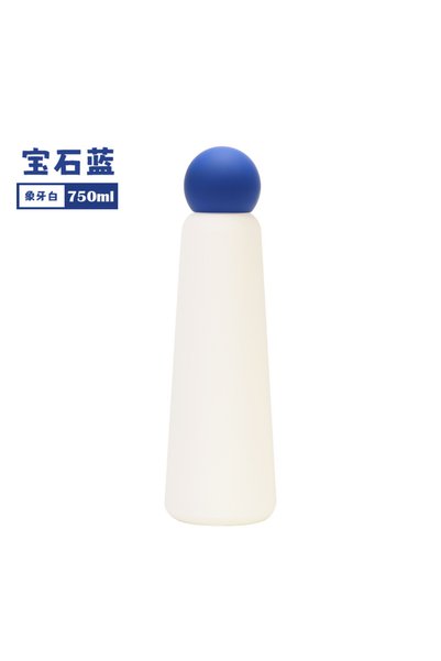 Generic 304 Stainless Steel Insulated Water Bottle 750ml for Kids Students Ou...