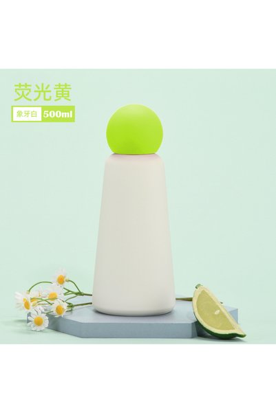 Generic 304 Stainless Steel Insulated Water Bottle 500ml for Kids Students Ou...