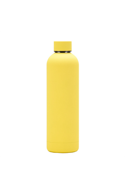 Generic 304 Stainless Steel Double Wall Insulated Bottle 750ml Frosted Outdoor