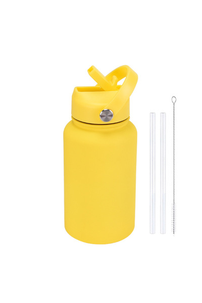 Generic Stainless Steel Insulated Sports Bottle 650ml Wide Mouth Handle Straw