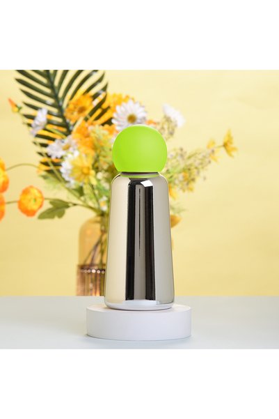 Generic Electroplated 304 Stainless Steel Insulated Water Bottle 350ml for Ki...