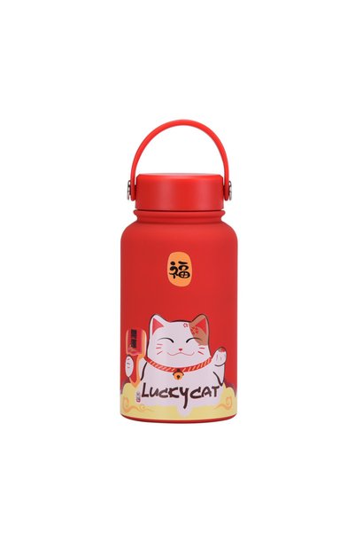 Generic Wide Mouth Vacuum Insulated Water Bottle 650ml Printed for Kids Stude...