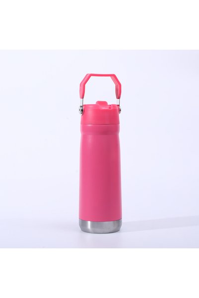 Generic 304 Stainless Steel Insulated Straw Bottle with Handle, Large Capacit...