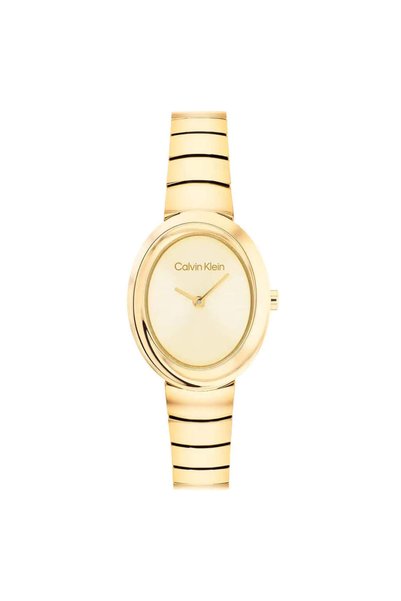 Calvin Klein Ck25100147 Kadın Kol Saati