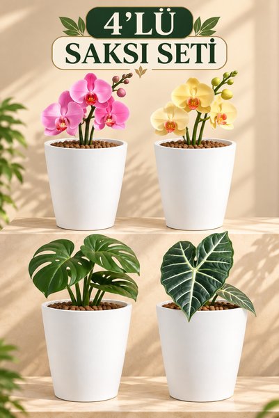 Plant Home Power Mix 4 Adet Dekoratif Beyaz Orkide Saksısı Seti Fiyatlı 12 Po...