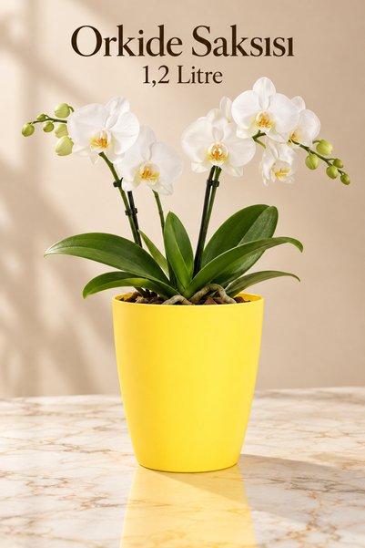 Plant Home Power Mix Dekoratif Orkide Dış Saksısı Sarı – Hava Alan ve Zarif T...