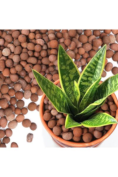Generic Clay Pebbles for Plants, Leca Expanded Clay Balls, Horticultural Drai...