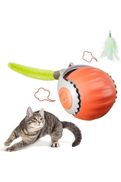Generic Interactive Cat Toy Ball with 2 Tails