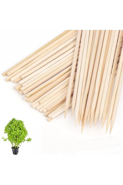 Generic Natural Plant Support Stakes Garden Sticks for Plants and Flowers,100...