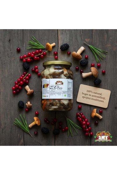 Amy GHEBE В ОСОЦА 720Г