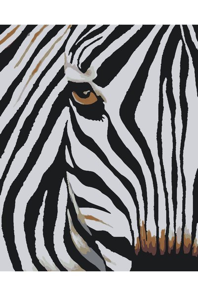 Painting-numbers Set pictura pe numere Ochi de zebra 1286, panza pe rama lemn...