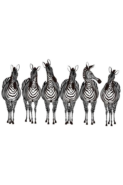 Painting-numbers Set pictura pe numere Zebre 1195, panza pe rama lemn, 90x120 cm