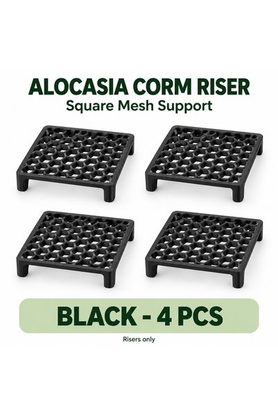 Choice Black - 4pcs Alocasia Corm Riser Square Mesh Stand for Plant Propagati...