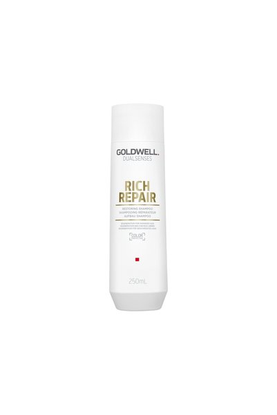 GOLDWELL Dualsenses Rich Repair – Shampoo for Intensive Repair and Shine for ...