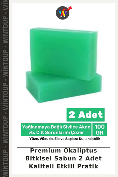 Wintoup Premium Eucalyptus Herbal Soap, 2-Pack: High-Quality, Effective, and ...