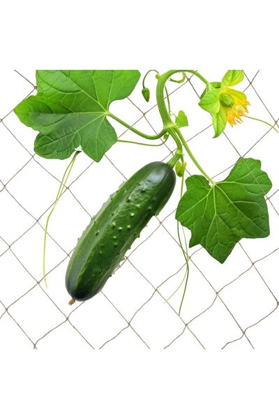 Relaxdays Plasă de susținere pentru plante Relaxdays, iută, 2x3m,